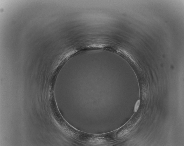 X0000064770451200602131320