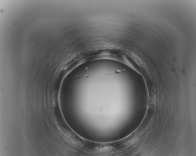 X0000064770452200602131321