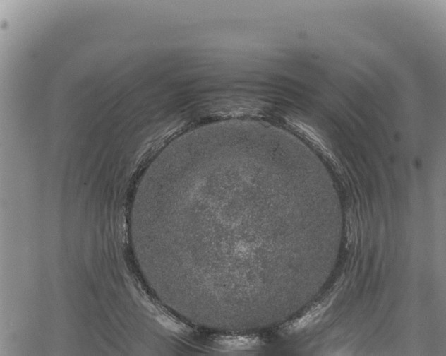 X0000064770453200602131321