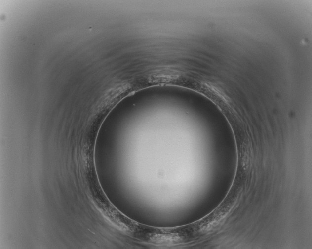 X0000064770455200602131321