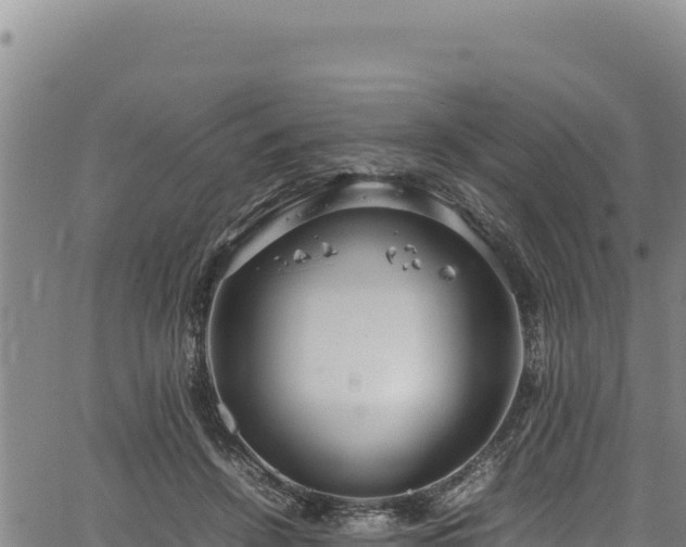 X0000064770456200602131321