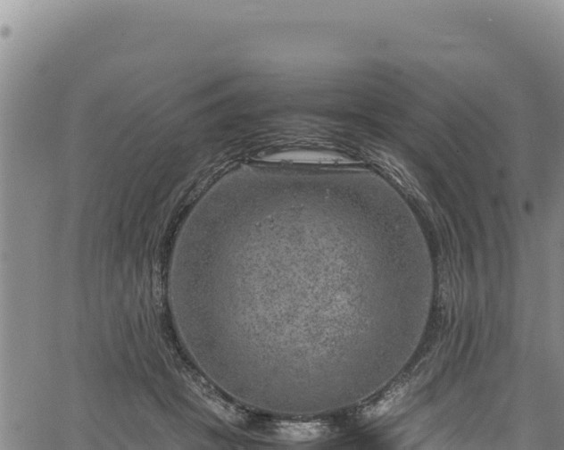 X0000064770457200602131321