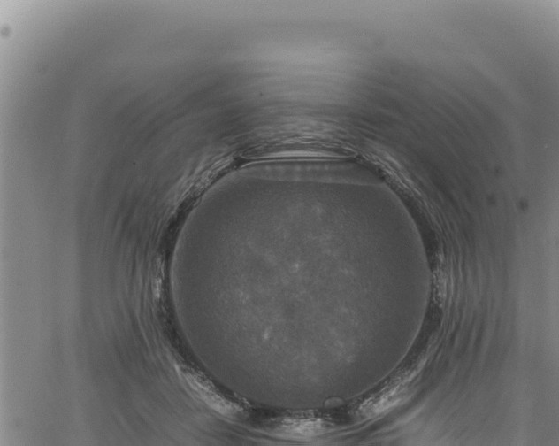 X0000064770458200602131321