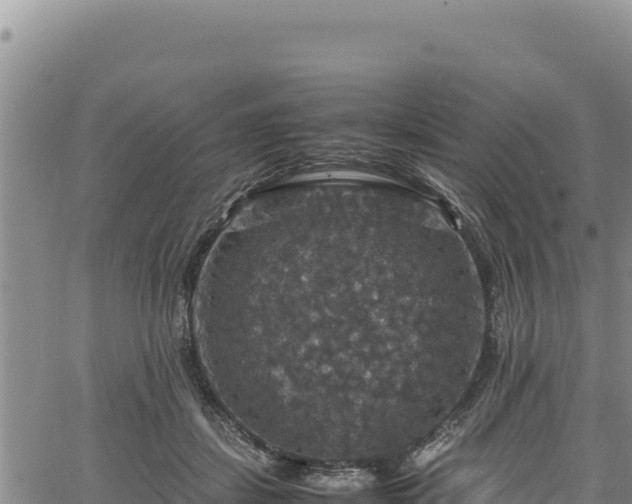 X0000064770459200602131321