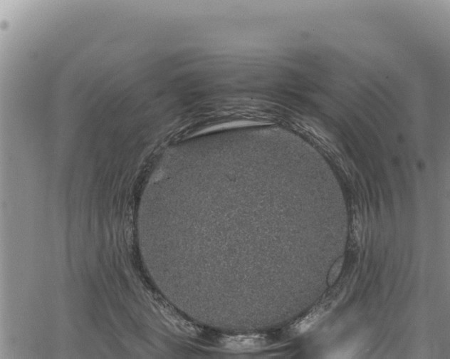 X0000064770461200602131321