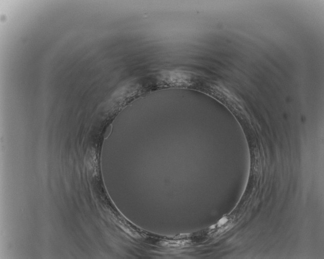 X0000064770465200602131321