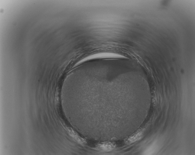 X0000064770466200602131321