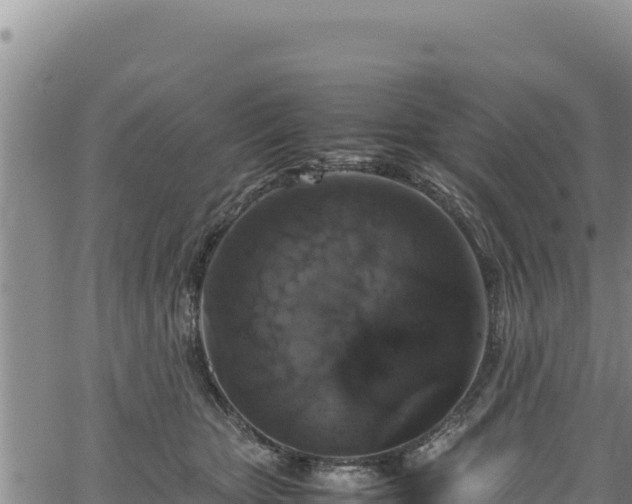 X0000064770467200602131321