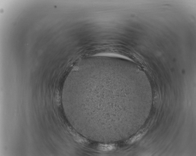 X0000064770469200602131321