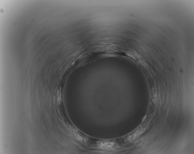 X0000064770471200602131321