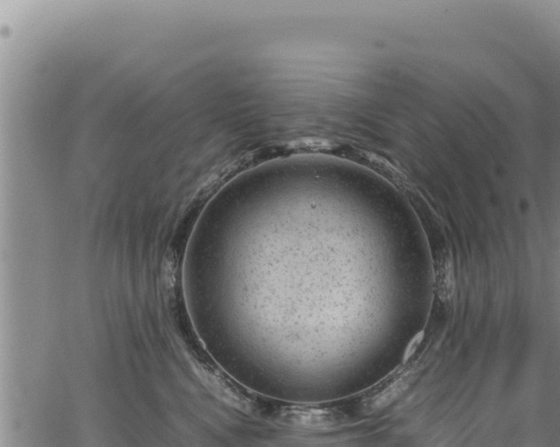 X0000064770472200602131321