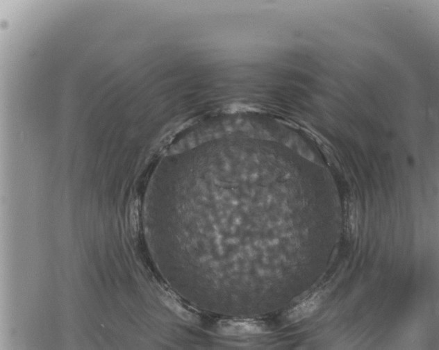 X0000064770475200602131321