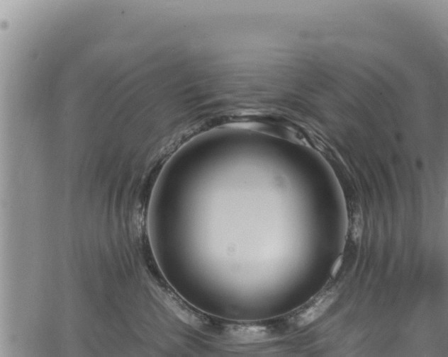 X0000064770476200602131321