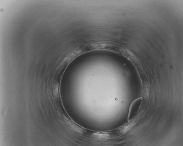 X0000064770477200602131321