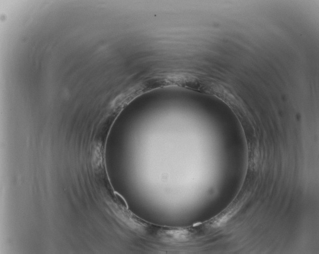 X0000064770478200602131321