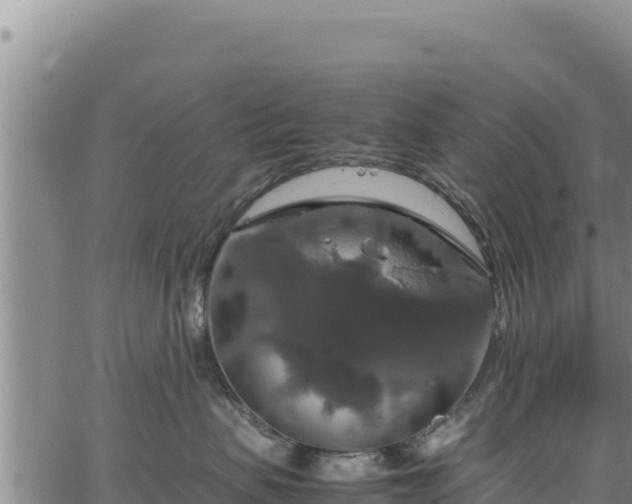 X0000064770479200602131321