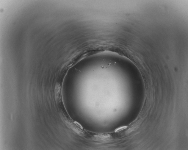 X0000064770480200602131321