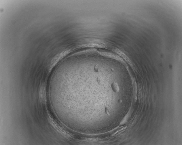 X0000064770482200602131320