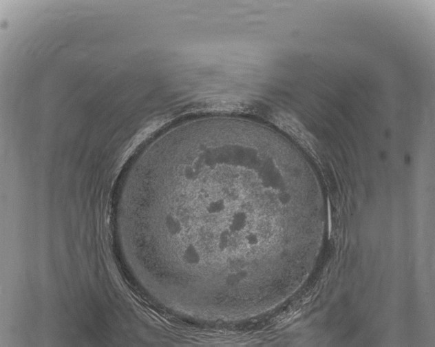 X0000064770483200602131320