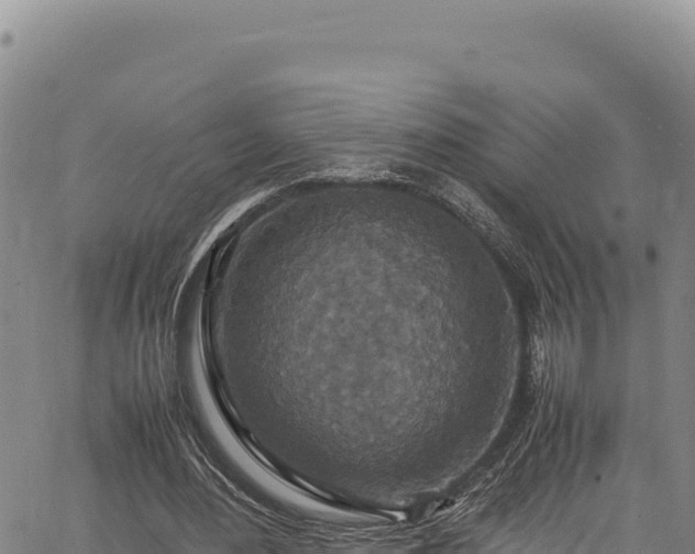 X0000064770484200602131320