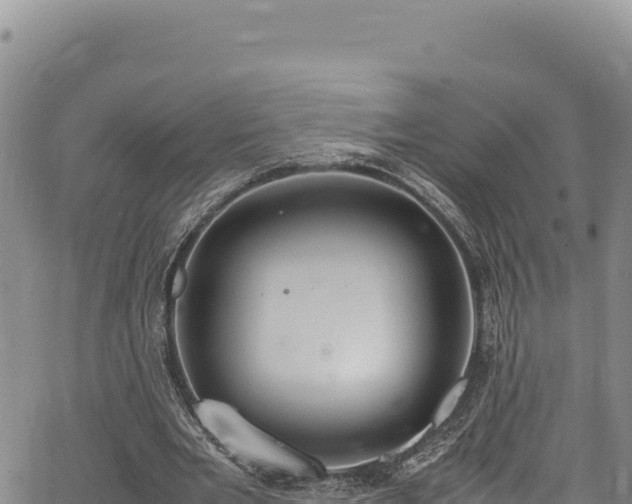 X0000064770485200602131320