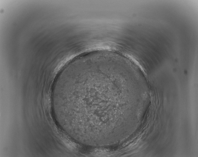 X0000064770487200602131320