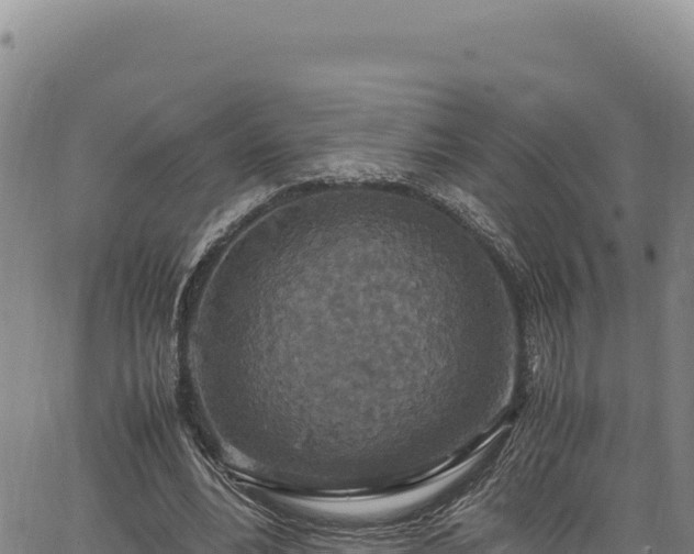 X0000064770488200602131320