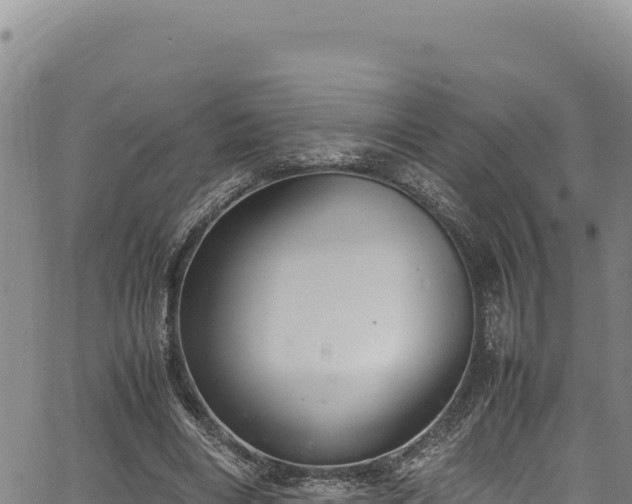 X0000064770490200602131320