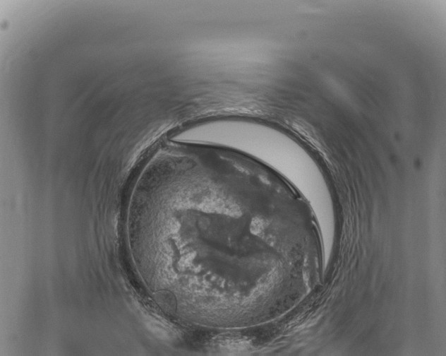 X0000064770491200602131320