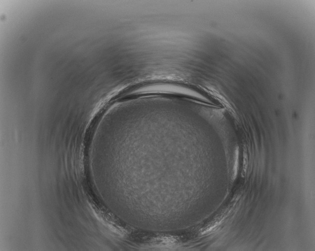 X0000064770492200602131320