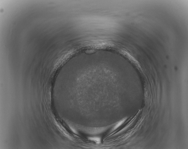 X0000064770493200602131320