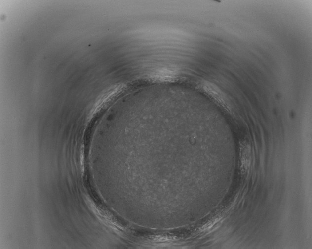 X0000064770494200602131320