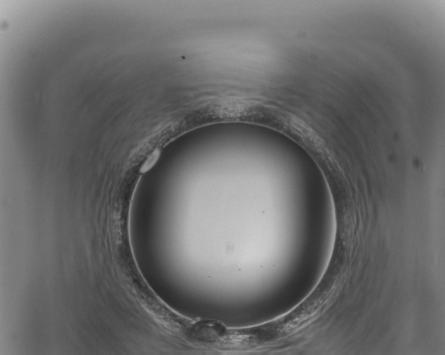 X0000064770497200602131320