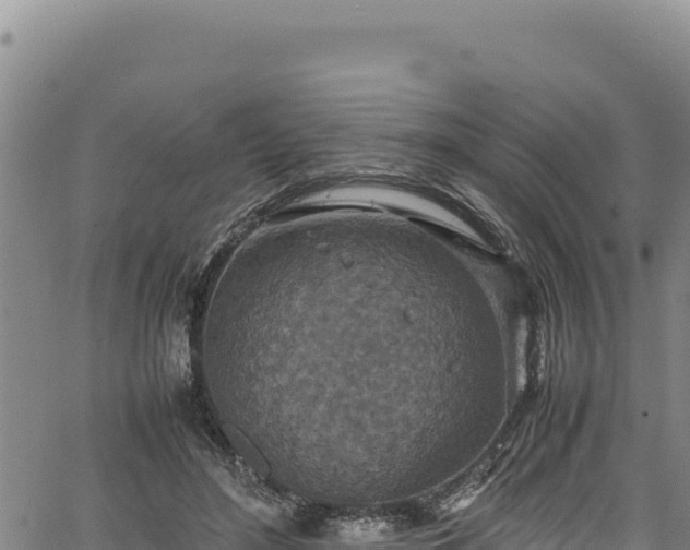 X0000064770500200602131320