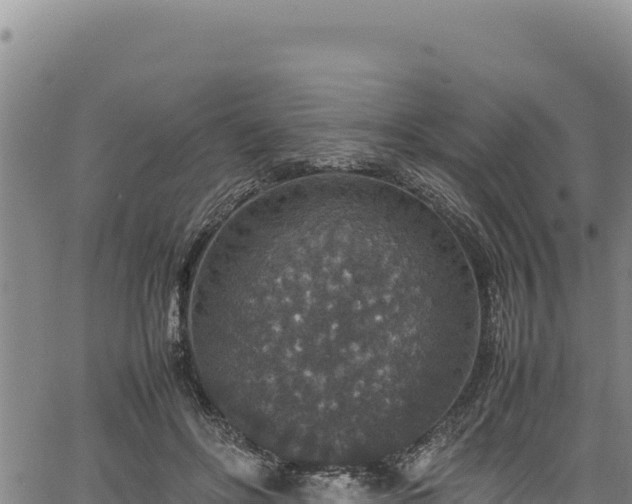 X0000064770502200602131320