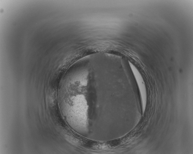 X0000064770503200602131320