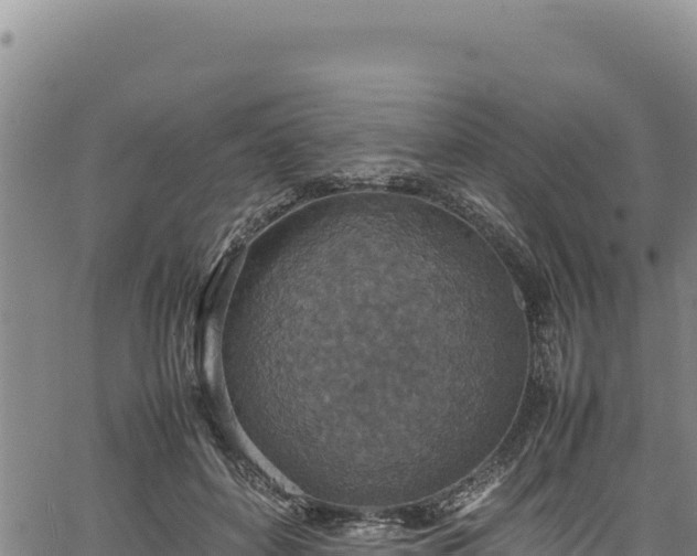 X0000064770504200602131320