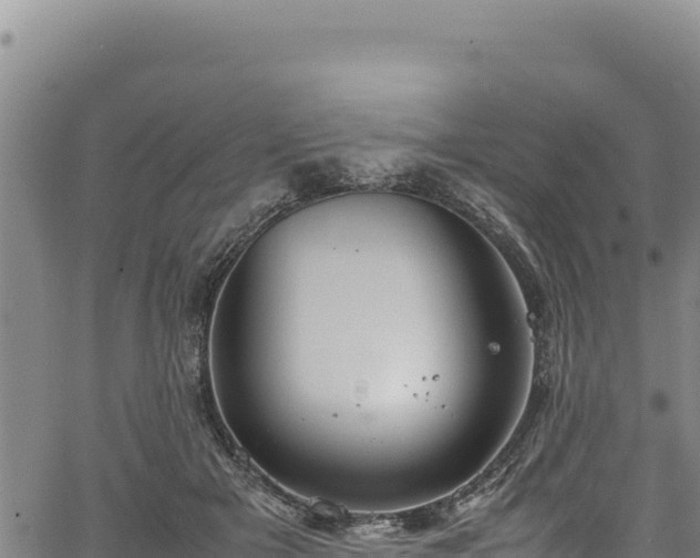 X0000064770505200602131320