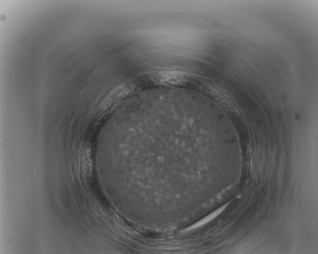 X0000064770506200602131320