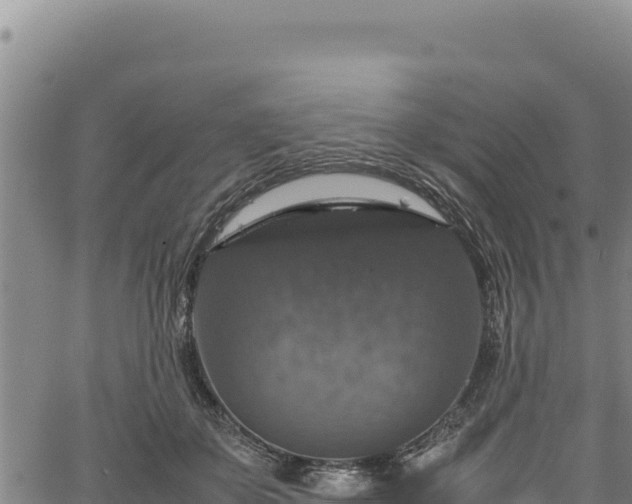 X0000064770507200602131320