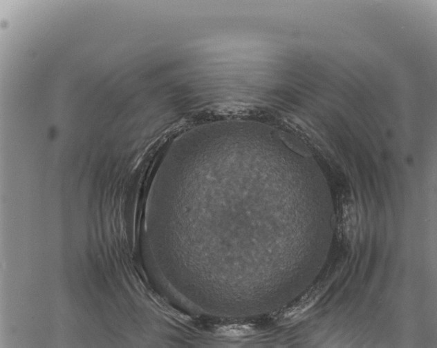 X0000064770508200602131320