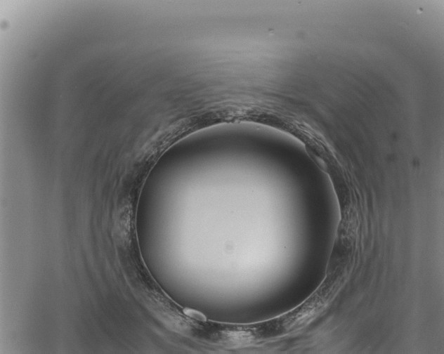 X0000064770509200602131320