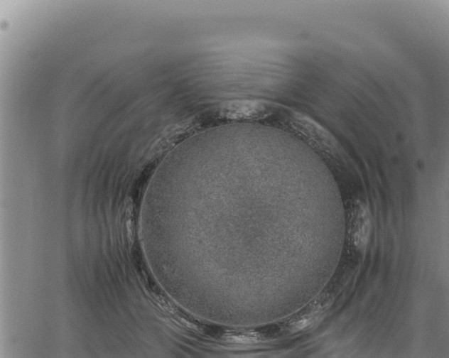 X0000064770510200602131320