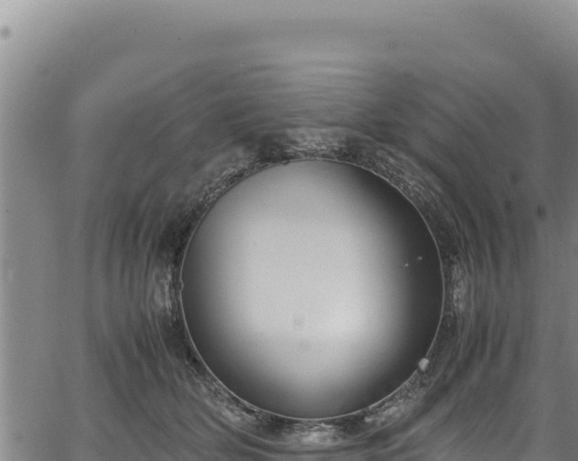 X0000064770514200602131320