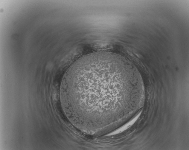 X0000064770515200602131320