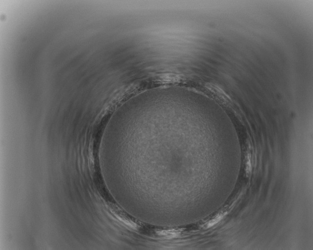 X0000064770516200602131320