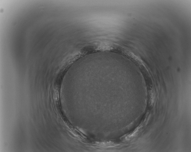 X0000064770517200602131320