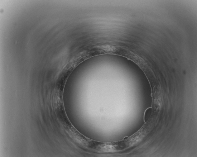 X0000064770518200602131320