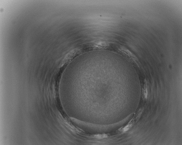 X0000064770520200602131320