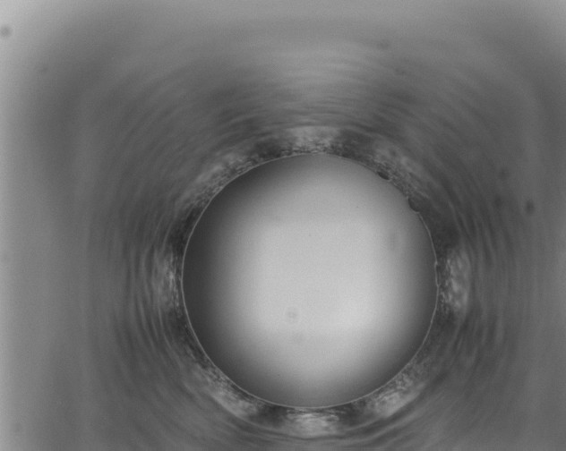 X0000064770522200602131320